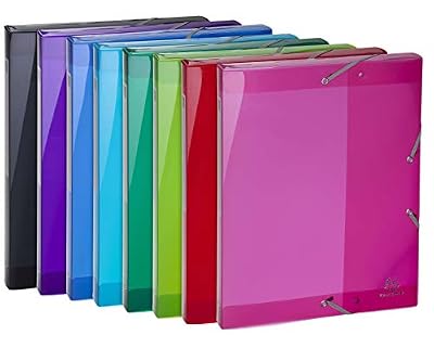 Exacompta 59670E Lot de 8 boîtes d'archives Iderama PP 24 x 32 cm Idéal pour vos documents au format A4 Dos 25 mm Couleurs assorties