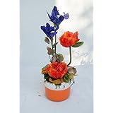 Gesteck mit Mohn und Iris - künstliche Blumen