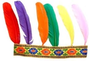 PTITC P'TIT Clown re18650 - Bandeau indien 6 plumes