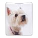 Produktbild Maranda-Ti MT7 Mi Taschenlampe in Kreditkartengröße für die Handtasche, Kunststoff, Motiv: West Highland Terrier, mehrfarbig