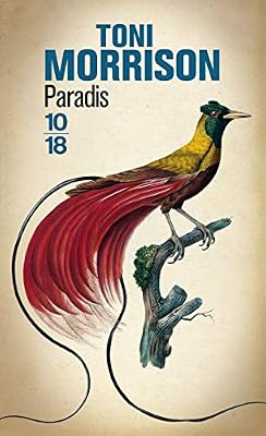 10 X 18 Paradis
