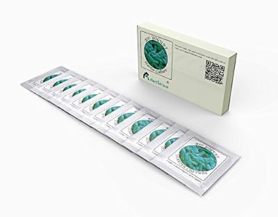 Natural Probiotic Selection Ferments yaourt - Pack de 12 Sachets de Culture lyophilisée pour yaourt BIO