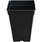 GROWMANIA Pack 10 Square Pots for Plants Black 18L &ndash; Ten Plastic Flower Pots 30 x 30 x 31 cm &ndash; Base 22 x 22 cm