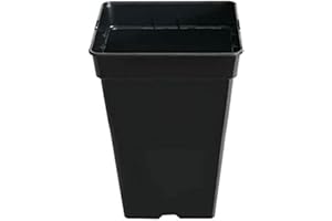 GROWMANIA.ES GROWMANIA Pack 10 kwadratowych doniczek do roślin Czarny 7L - dziesięć plastikowych garnków kwiatowych 20x20x27 cm