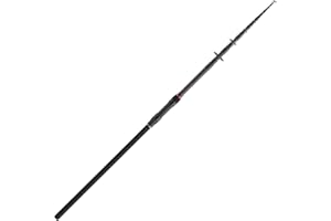 DAIWA Black Widow XT Canne à pêche à la Carpe télescopique