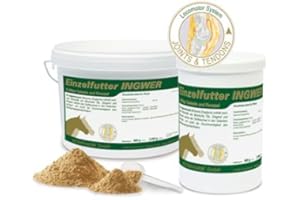 Equipower Ingwer 100% 2 kg