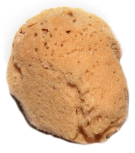 2.5-3 Inches, 'Silk Fina' Natural Sea Sponge for Professional Make-up Application and Removal; Craft, Art Uses, and Detail Cleaning (Unbleached)