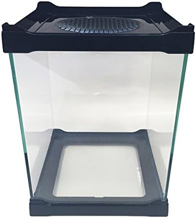 Small Stackable Glass Pet Reptile Insect Betta Shrimp Tank - BLACK 16x16x21 cm