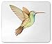 Produktbild Hummingbird Mouse Pad, Watercolor Style Hand Drawn Hummingbird with Brush Strokes Effect, Standard Size Rectangle Non-Slip Rubber Mousepad, Orange Green and Brown