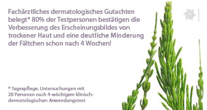 Vilate Essentielle Hyaluronsäure Antifaltencreme / 100 ml Inhalt - 2