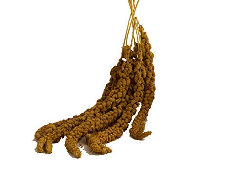 Preisvergleich Produktbild Rosenlöcher Kolbenhirse gelb 200g