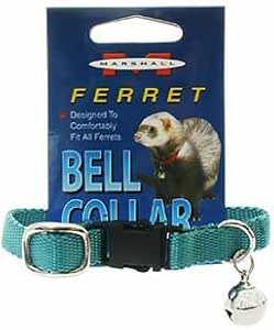 ferret collars