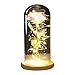 Produktbild BEENZY Beauty and The Beast Verzauberte Rose Blumen, Elegante Glaskuppel mit LED leuchtet Pine Base, Magic Gifts Home Decor für Urlaub Party Hochzeitstag