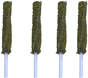 PlantaZee Moss Stick - Coir Stick for Indoor, House and Plant Creepers Support (2.5 ft) Pack of 4