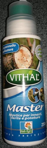 Master Masilla para injertos, heridas, potature