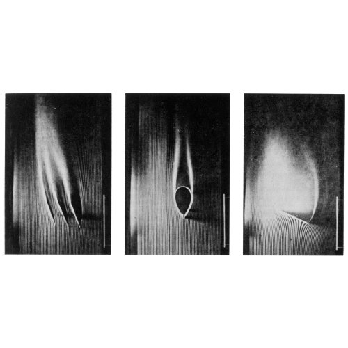 Passion Plays [VINYL] [Vinilo]