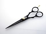 Professional Hairdressing Scissors 6 inch - DEEP BLACK + Presentation Case