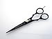 Professional Hairdressing Scissors 6 inch - DEEP BLACK + Presentation Case
