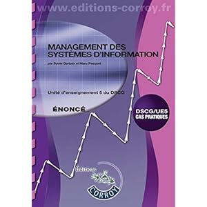 Management des systèmes d'information Énoncé: UE 5 DU DSCG