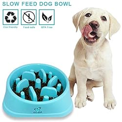 Decyam Gamelle antidérapante en Forme de Labyrinthe pour Animal Domestique - favorise Une Alimentation Saine et Une Digestion Lente (Blue 1)