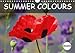 Produktbild Summer Colours (Wall Calendar 2019 DIN A4 Landscape): Portraits of flowers in all colours of the rainbow (Birthday calendar, 14 pages ) (Calvendo Nature)