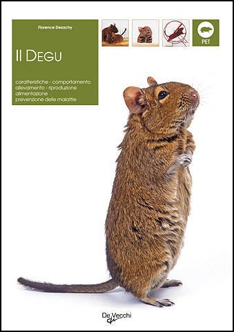 Degu Degu