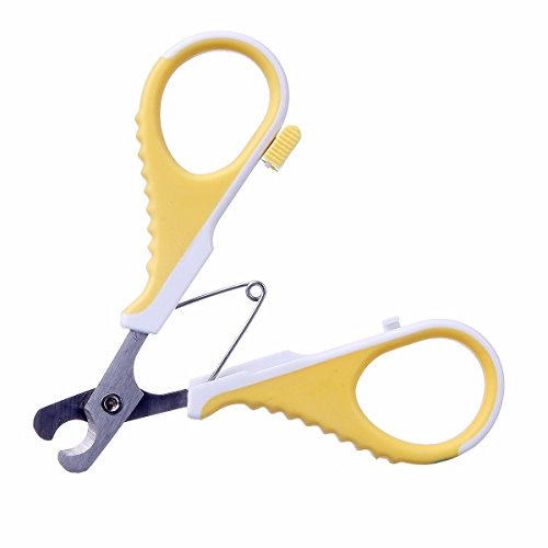 AIDIYA-Coupe-ongles-pour-chats-Ongles-de-chat-Tondeuse-professionnelle-pour-chats-et-petits-chiens-de-race-galement-pour-les-petits-animaux-chiots-oiseaux-lapins-cochons-dInde-Facile-et-sr--utiliser-l