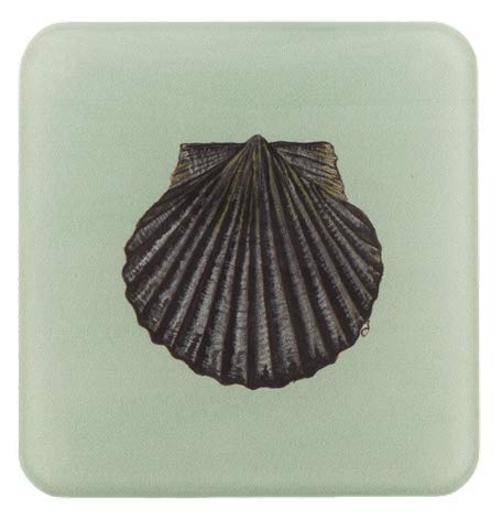 Original Artwork Designer Scallop Seashell Recycled Glass Coaster