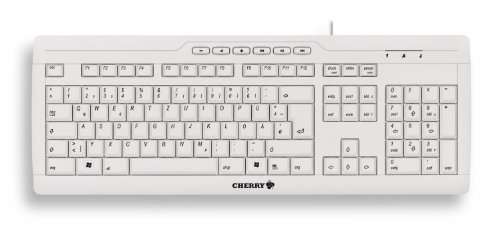 Preisvergleich Produktbild Cherry Evolution Stream XT Tastatur Schweizerisch grau