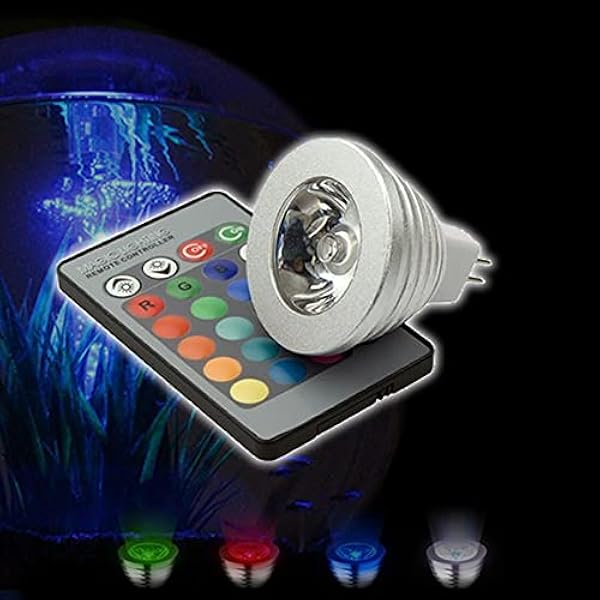 dog leash with two clips