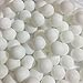 Produktbild SOT 150Pcs Scrub Tischtennisball Ping Pong Ball Lotteriekugeln Lotto Ball Lotterie Kugel Tischtennis Wasserpark Ball