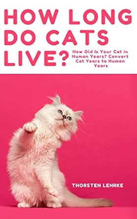How Long Do Cats Live Convert Cat Years To Human Years How Old Is Your Cat In Human Years English Edition Ebook Lehrke Thorsten Amazon De Kindle Shop