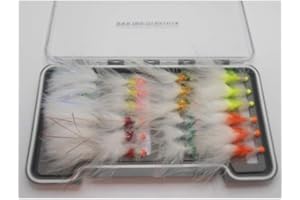 TROUTFLIES UK BOXED FISHING FLIES Angel-Fliegen in Schachtel, 24 Hotheads, Kunstköder, Streamer, Größe 10, zum Fliegenfischen