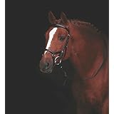 Horseware Rambo Micklem Multi Reins Pony Black