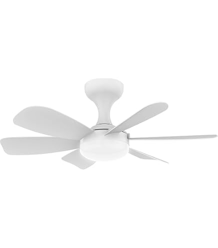 Reversibile Lampada Ventilatore Soffitto Bambini Camera LED Dimmerabile Ventilatore Da Soffitto Con Luce E Telecomando Piccolo Silenzioso Soggiorno Ventilatore Da Soffitto Con Luce E Timer,Bianca