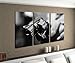 Produktbild Leinwandbild 3 tlg Waffe Revolver Krieg Hand Pistole schwarz weiß Bild Bilder Leinwand Leinwandbilder Holz Wandbild mehrteilig 9W360, 3 tlg BxH:120x80cm (3Stk 40x 80cm)