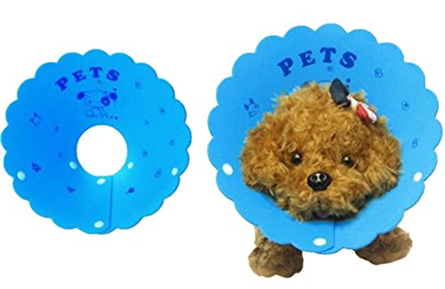 Crasy-Shop-Plastic-Soft-Breathable-Pet-Dog-Cone-Recovery-Collar-Wound-Proctection-for-Puppies-Dogs-Cats-Random-Color-1PC