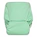 GroVia All in One Cloth Nappy, One size for baby, in Julep