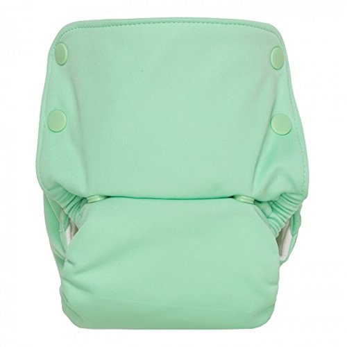 GroVia All in One Cloth Nappy, One size for baby, in Julep