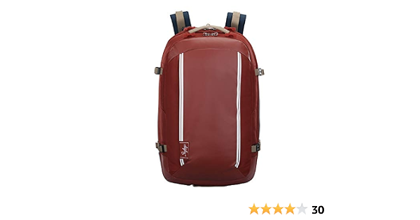 Buy SKYBAGS PROTEKT RED Professional 
