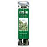 Scentsicles Winter Fir Scent Sticks