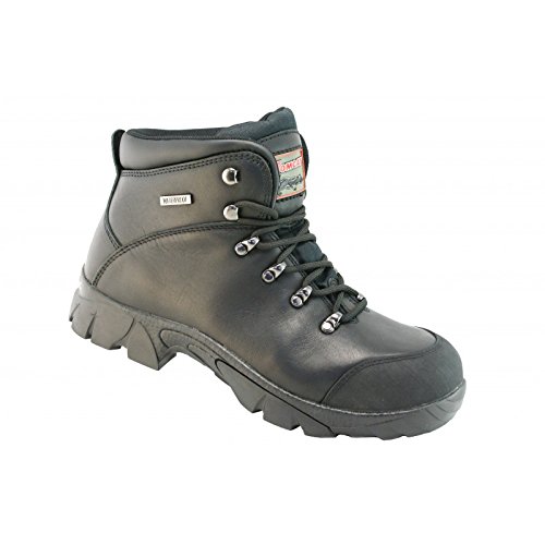 « Click to Enlarge and to go to Amazon »