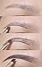 Anastasia Beverly Hills Waterproof, Long lasting Eyebrow Colour in Medium Brown (Dipbrow pomade)