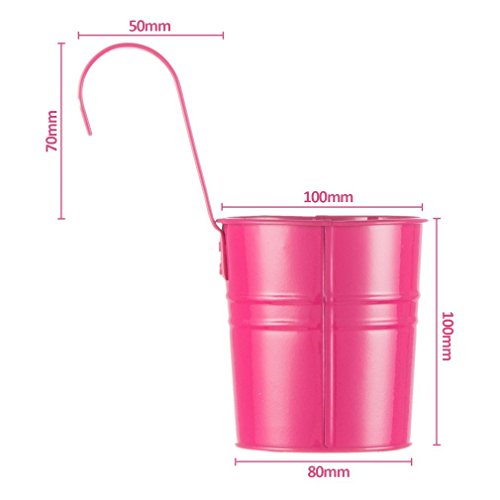 Hängetöpfe Übertopf balkon Blumentopf von Colleer, 10 Stück/10 Farben Eisen hängend Balkontopf Pflanztopf Set (mit Haken) ideal für Balkon Fenster Garten Deck Terrasse Zaun (10pcs) - 6