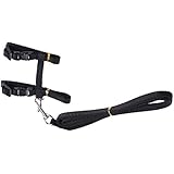 Katzen Leinen Katzengeschirr Katzenleine Sicherheitsgurt Katzenhalsband Katzengarnitur Kätzchen Garnitur Harness