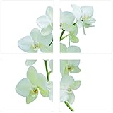 Lavable PLAGE 260500 Adhesivos de decoración para Azulejos Smooth, Orquídea, 4 Hojas, 14,5 x 14,5 cm