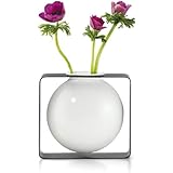 Philippi - Float Vase, rund - schwebende Vase im Metallgestell - für Tupen, Rosen, effektvolle dekorative Vase