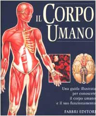Il corpo umano Il corpo umano