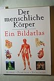 Image de Der menschliche Körper