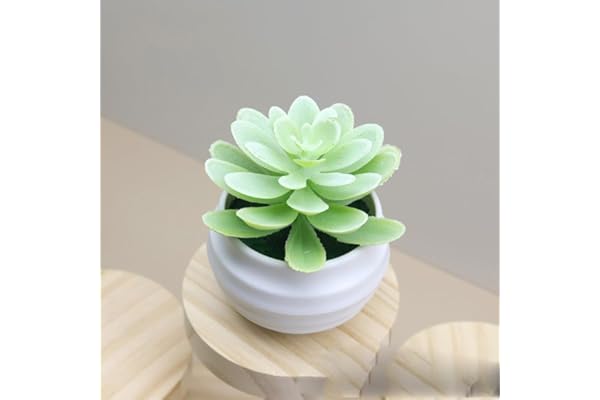 Plantas suculentas artificiales en macetas, pequeñas plantas falsas para dormitorio, sala de estar, oficina, estante, decoración de baño (blanco)